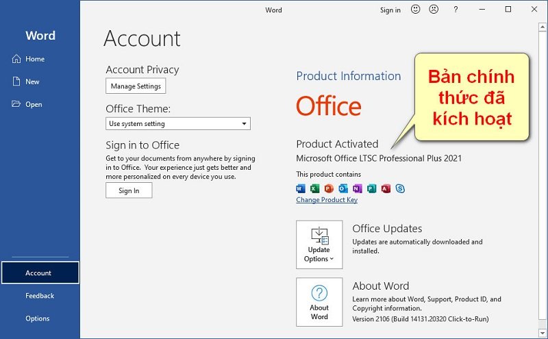 Tải Office 2021 Full Crack Miễn Phí - Hướng dẫn cài đặt Thành công 100% 8 Tải office 2021