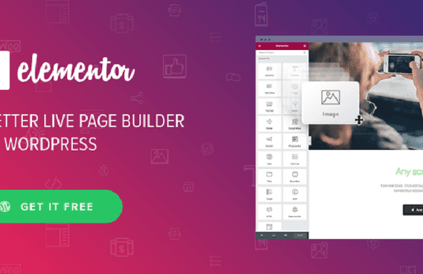 Plugin 22 plugin Elementor Pro 2.10.3 WordPress update liên tục