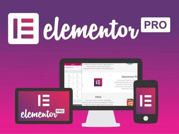 Plugin 21 plugin Elementor Pro v3.0.3 WordPress update liên tục
