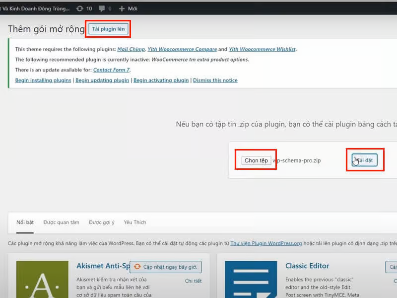 Tải Plugin Schema Pro Full Crack Miễn Phí Mới Nhất 2025 + Hướng Dẫn Cài Đặt A-Z 3 Tải Plugin Schema Pro Full Crack Miễn Phí Mới Nhất 2025 + Hướng Dẫn Cài Đặt A-Z